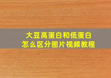 大豆高蛋白和低蛋白怎么区分图片视频教程