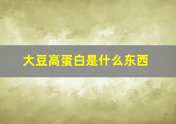 大豆高蛋白是什么东西