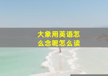 大象用英语怎么念呢怎么读