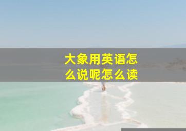 大象用英语怎么说呢怎么读