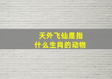 天外飞仙是指什么生肖的动物