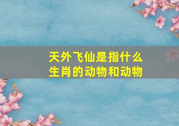 天外飞仙是指什么生肖的动物和动物