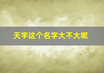 天宇这个名字大不大呢