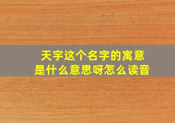 天宇这个名字的寓意是什么意思呀怎么读音