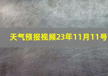 天气预报视频23年11月11号