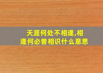 天涯何处不相逢,相逢何必曾相识什么意思