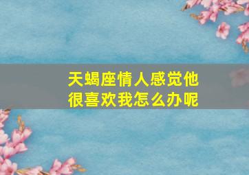 天蝎座情人感觉他很喜欢我怎么办呢