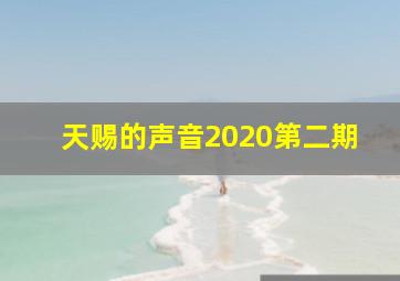 天赐的声音2020第二期