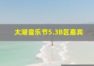 太湖音乐节5.3B区嘉宾