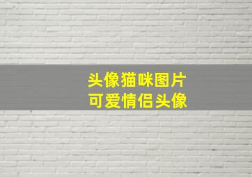 头像猫咪图片 可爱情侣头像