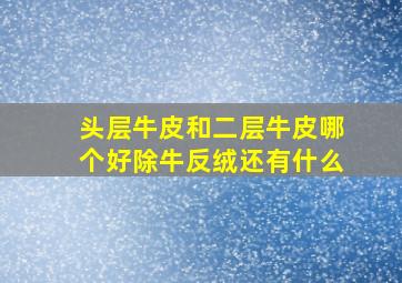 头层牛皮和二层牛皮哪个好除牛反绒还有什么