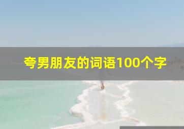 夸男朋友的词语100个字