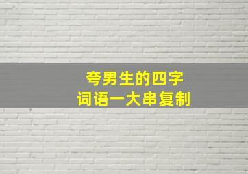 夸男生的四字词语一大串复制