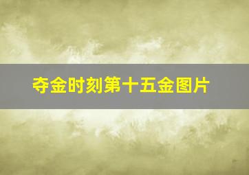 夺金时刻第十五金图片