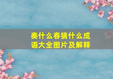 奏什么春猜什么成语大全图片及解释