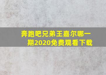 奔跑吧兄弟王嘉尔哪一期2020免费观看下载