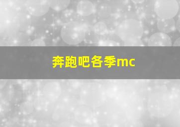 奔跑吧各季mc