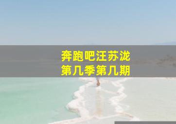 奔跑吧汪苏泷第几季第几期