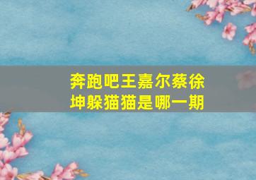 奔跑吧王嘉尔蔡徐坤躲猫猫是哪一期