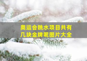 奥运会跳水项目共有几块金牌呢图片大全