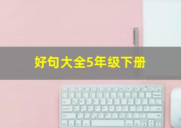 好句大全5年级下册