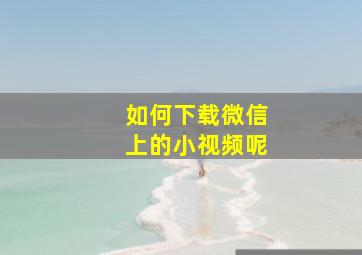 如何下载微信上的小视频呢