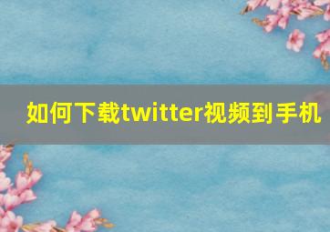 如何下载twitter视频到手机