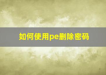 如何使用pe删除密码