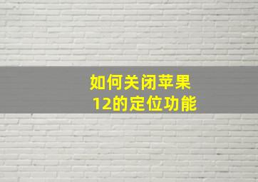 如何关闭苹果12的定位功能