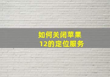 如何关闭苹果12的定位服务