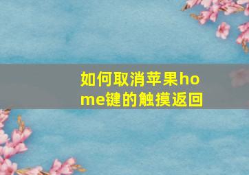 如何取消苹果home键的触摸返回