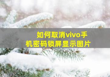 如何取消vivo手机密码锁屏显示图片