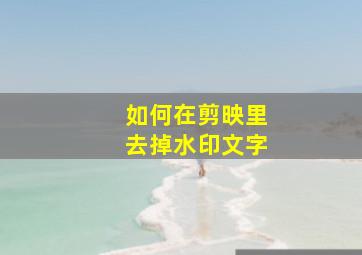 如何在剪映里去掉水印文字