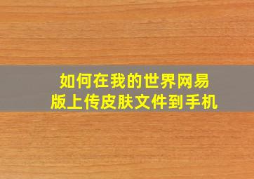 如何在我的世界网易版上传皮肤文件到手机