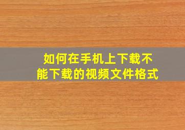 如何在手机上下载不能下载的视频文件格式