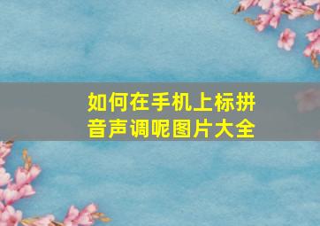 如何在手机上标拼音声调呢图片大全