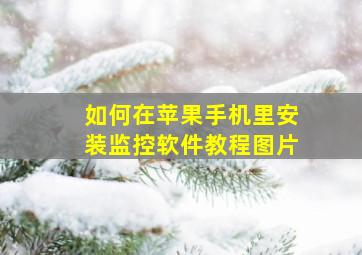 如何在苹果手机里安装监控软件教程图片