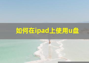 如何在ipad上使用u盘