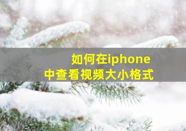 如何在iphone中查看视频大小格式