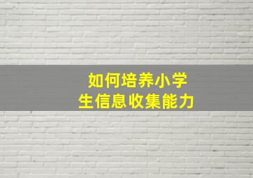 如何培养小学生信息收集能力