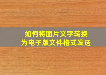 如何将图片文字转换为电子版文件格式发送