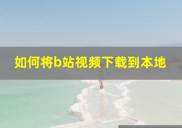 如何将b站视频下载到本地