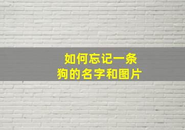 如何忘记一条狗的名字和图片