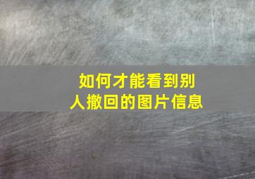 如何才能看到别人撤回的图片信息