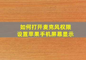 如何打开麦克风权限设置苹果手机屏幕显示