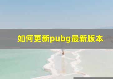 如何更新pubg最新版本