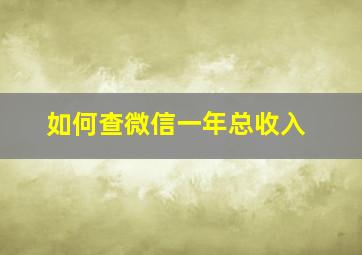 如何查微信一年总收入