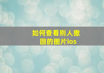 如何查看别人撤回的图片ios