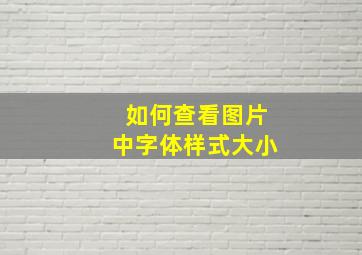 如何查看图片中字体样式大小