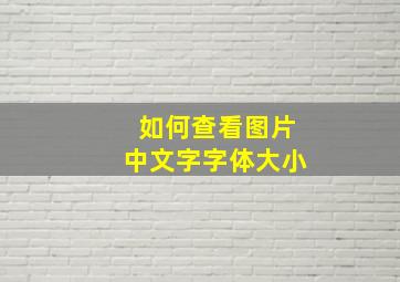 如何查看图片中文字字体大小